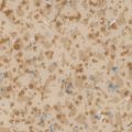 Линолеум Tarkett (Таркетт) Acczent Mineral ширина 2,0 м - 