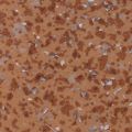 Линолеум Tarkett (Таркетт) Acczent Mineral ширина 4,0 м - 