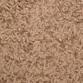 Ковролин BALTA (Балта) Curly, 4 м - 